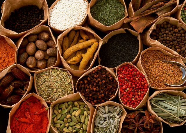 Gazella Synergi Utama Hero Image