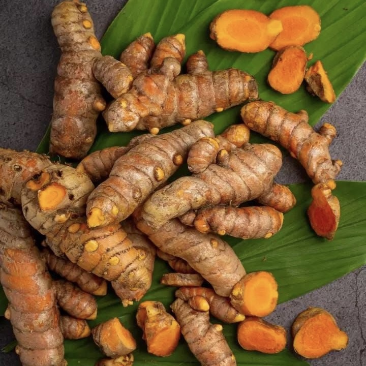 Fresh Turmeric Root